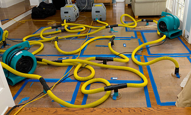 Professional Basement Flood Cleanup technician working in Reseda, CA